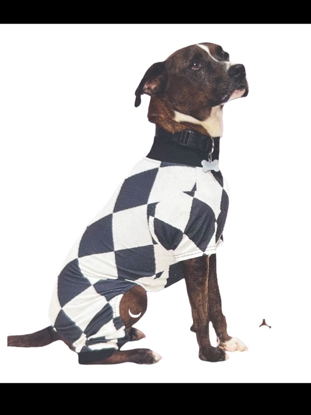 Bootique Harlequin Print Checkered Dog Pajamas XS
